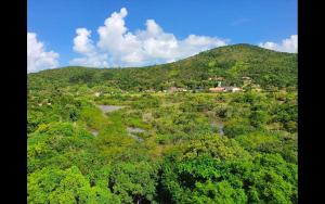 an aerial view of a mountain with a river and trees at Apartamento Cobertura PALMAS DO ARVOREDO para 7 pessoas a 250m do mar com terraço e vista maravilhosa in Governador Celso Ramos