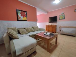 TV a/nebo společenská místnost v ubytování Apartmani Tomić 4*