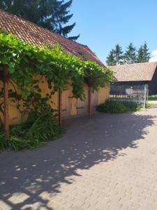 Billede fra billedgalleriet på Domek na wzgórzu Blanki i Lidzbark Warmiński