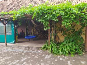 Billede fra billedgalleriet på Domek na wzgórzu Blanki i Lidzbark Warmiński