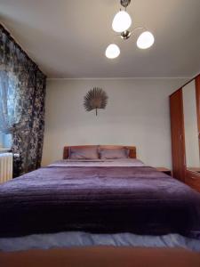オラデアにあるCrinaのベッドルーム(紫の毛布を使用した大型ベッド1台付)