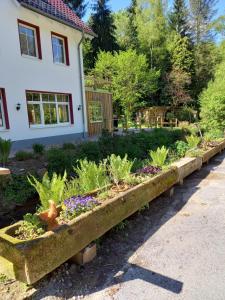 a garden in front of a house at Alte Mühle in Holzminden