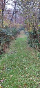un chemin dans un champ planté d'arbres et d'herbes dans l'établissement Domaine Le Haut-Vent, à Fosses-La-Ville