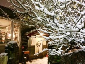 uma árvore coberta de neve em frente a uma loja em The Otaornai Backpacker's Hostel Morinoki em Otaru