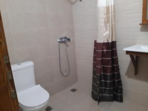 a bathroom with a toilet and a shower at Amorani Studios in Batsi