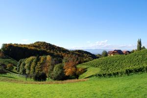 Paesaggio naturale nelle vicinanze dell'hotel