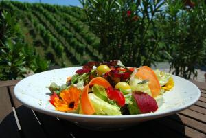 Cibo presso l'hotel o nelle vicinanze