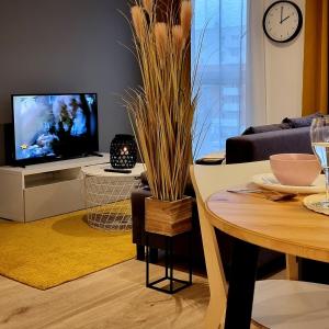 ein Wohnzimmer mit einem Tisch und einem TV in der Unterkunft Apple Apartments - Wróblewskiego PRYWATNE MIEJSCE PARKINGOWE in Łódź
