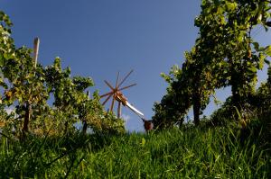 Giardino di Weingut Winzerzimmer Rothschädl