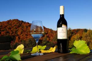 Bevande di Weingut Winzerzimmer Rothschädl
