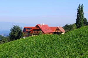 Paesaggio naturale nelle vicinanze dell'hotel