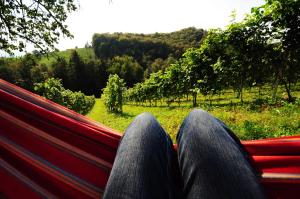 Foto dalla galleria di Weingut Winzerzimmer Rothschädl a Leutschach