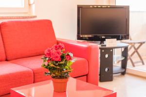 Fotografia z galérie ubytovania MARINA VIEW APARTMENT v destinácii Ližnjan
