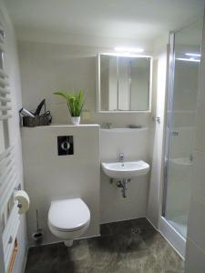 La salle de bains est pourvue de toilettes, d'un lavabo et d'une douche. dans l'établissement App Sweet Harz Haus am See -Panoramablick, à Hahnenklee
