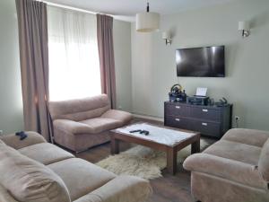 a living room with two couches and a coffee table at CASA OFRIM, Bârsana, Maramureș in Bîrsana