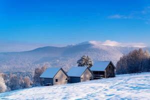 a group of houses on top of a snow covered hill at U Szoguna in Wetlina