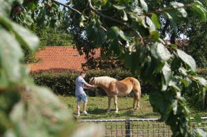 Gallery image of Hoeve Linnerveld in Merum