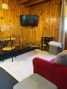 a living room with a tv on a wooden wall at The Wombat Cottage in Tullah