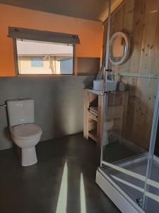 La salle de bains est pourvue de toilettes et d'une douche en verre. dans l'établissement Hoeve Linnerveld XL, à Sint Odiliënberg