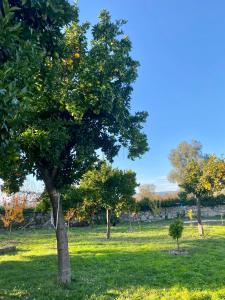 Zahrada ubytování Quinta de Areias