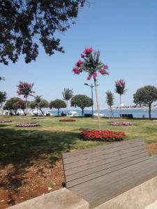 Gallery image of City center apartment in Umag