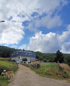 a house on a hill with a dog on a dirt road at Vista Estrelada in Requeixo