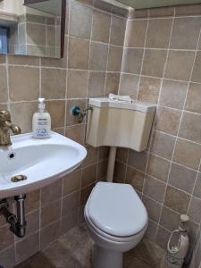 La salle de bains est pourvue de toilettes et d'un lavabo. dans l'établissement Casa Baldecchi - Pistoia Centro Storico, à Pistoia