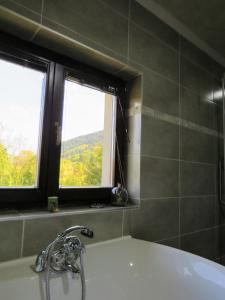 A bathroom at Villa Vrelo Bosne