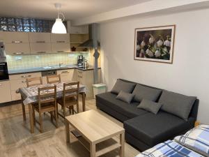 Kuchyňa alebo kuchynka v ubytovaní Šedivinské apartmány - rodinné apartmány v Orlických horách