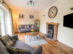 a living room with a couch and a fireplace at Ger Yr Afon Cottage in Rhayader