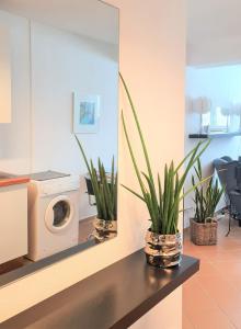 een wasruimte met een wasmachine en planten op een aanrecht bij Apartment Familie Grünauer in Sankt Johann im Pongau