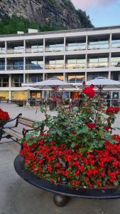 a flower bed of red flowers in front of a building at Havila Hotel Geiranger in Geiranger