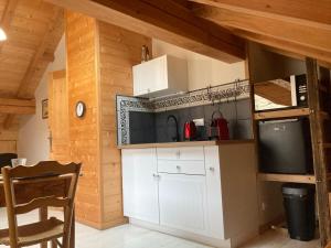 a kitchen with a white cabinet and a microwave at Les deux loups in Samoëns