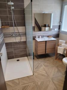 a bathroom with a shower and a sink at Les chambres de la Cotinière - Bord de Saône - St Jean de Losne in Saint-Jean-de-Losne +21 photos