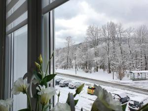 una ventana con vistas a una calle cubierta de nieve en Apartament Twoja Chwila, en Stronie Śląskie