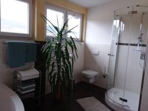 a bathroom with a toilet and a plant in it at Ferienwohnung Dachs in Zachenberg +27 photos