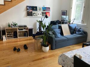 a living room with a blue couch and some plants at Apartamento City Center in Porto