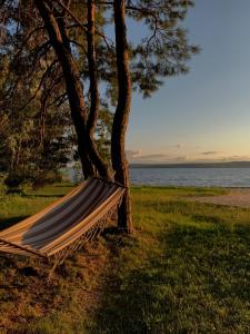 a hammock under a tree next to the water at Secret Resort Club in Pereyaslav