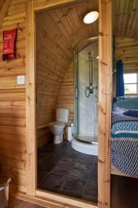 Cabaña de madera con baño con ducha y aseo en Woodpecker Pod with views, en Lampeter