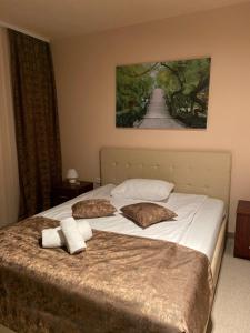 a bed with two pillows and a painting on the wall at Garden House in Apatin