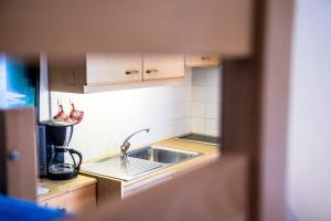 A kitchen or kitchenette at Issingerhof App 1