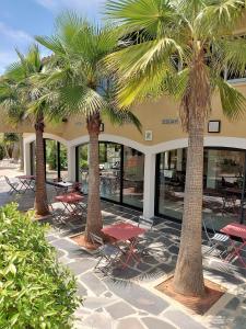 a group of palm trees in front of a building at Residence Agathea in Cap d'Agde