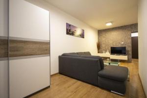 a living room with a couch and a television at Apartman Adam in Veľký Slavkov