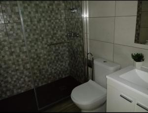 uma casa de banho com um chuveiro, um WC e um lavatório. em Apartamento La Plaza em Onís
