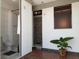 a bathroom with a toilet and a plant at Hotel CESARE in Uyuni