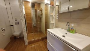 uma casa de banho com um chuveiro, um lavatório e um WC. em Dom Na Skarpie - Ucieczka Na Wieś - Kominek em Drążek
