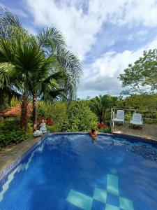 a large blue swimming pool with two chairs and palm trees at Finca Los Caballos Montezuma in Montezuma