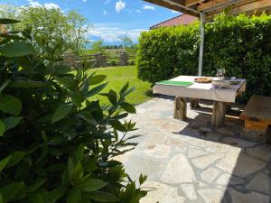A garden outside Buchere Ville