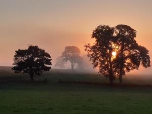 a group of trees in a field at sunset at The Granary at Tinto Retreats, Biggar is a gorgeous 3 bedroom Stone cottage in Wiston
