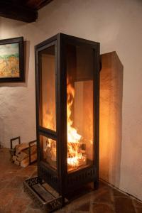 a fireplace with a fire inside of it at WALD-LAND-HOF Schloss Rosenau in Schloss Rosenau